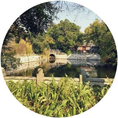 特朗普在白宫与南非总统发生争执